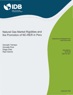 Natural Gas Market Rigidities And The Promotion Of Nc Rer In Peru